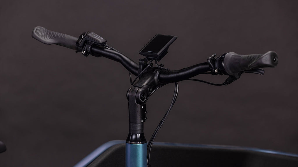 Cube Cargo Hybrid Comfort Pro 800 smaragdgrey'n'reflex