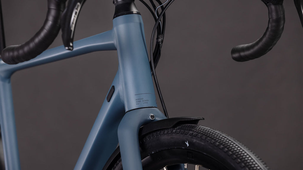 Cube Nuroad Pro FE whale'n'reflex