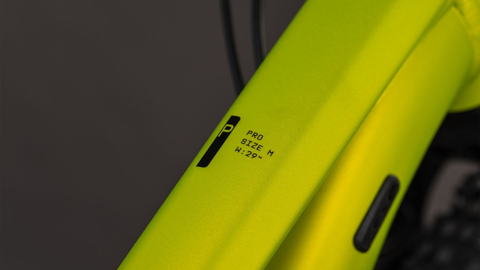 Cube Aim Pro lizard'n'black