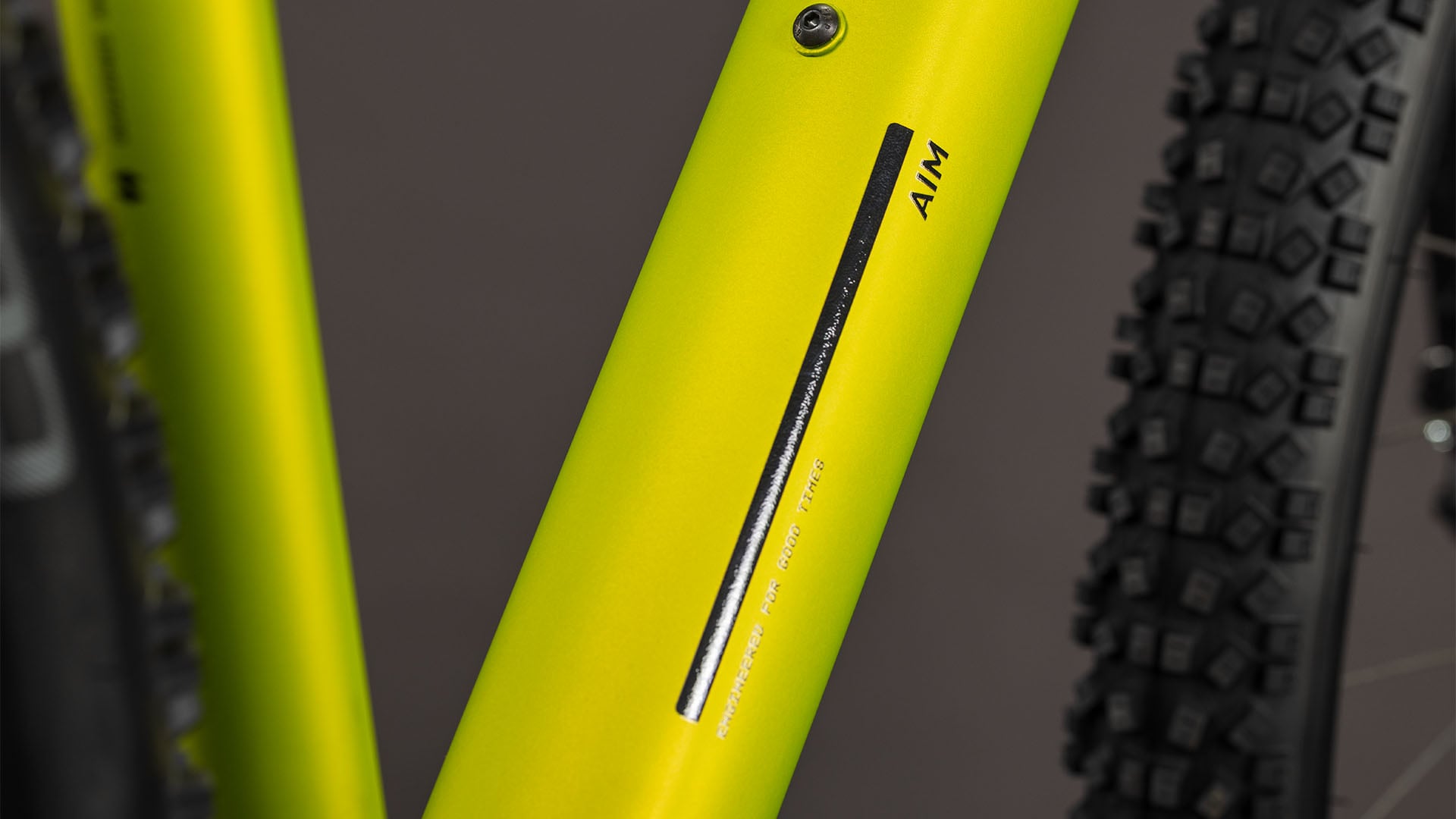Cube Aim Pro lizard'n'black