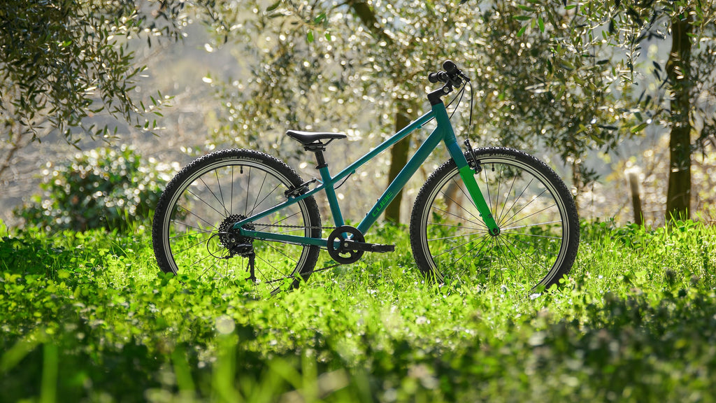 Cube Numove 240 seagreen'n'green