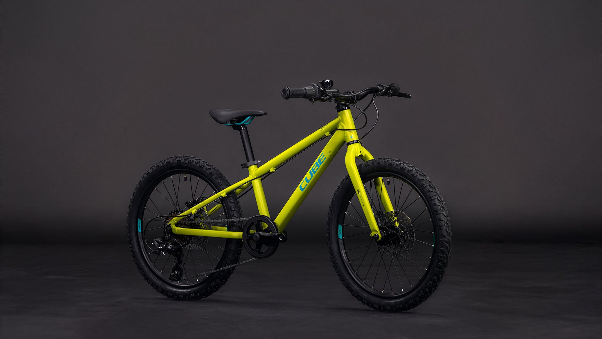 Cube Acid 200 Disc lizard'n'blue
