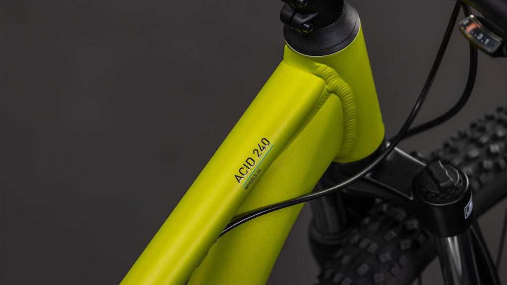 Cube Acid 240 Disc lizard'n'blue