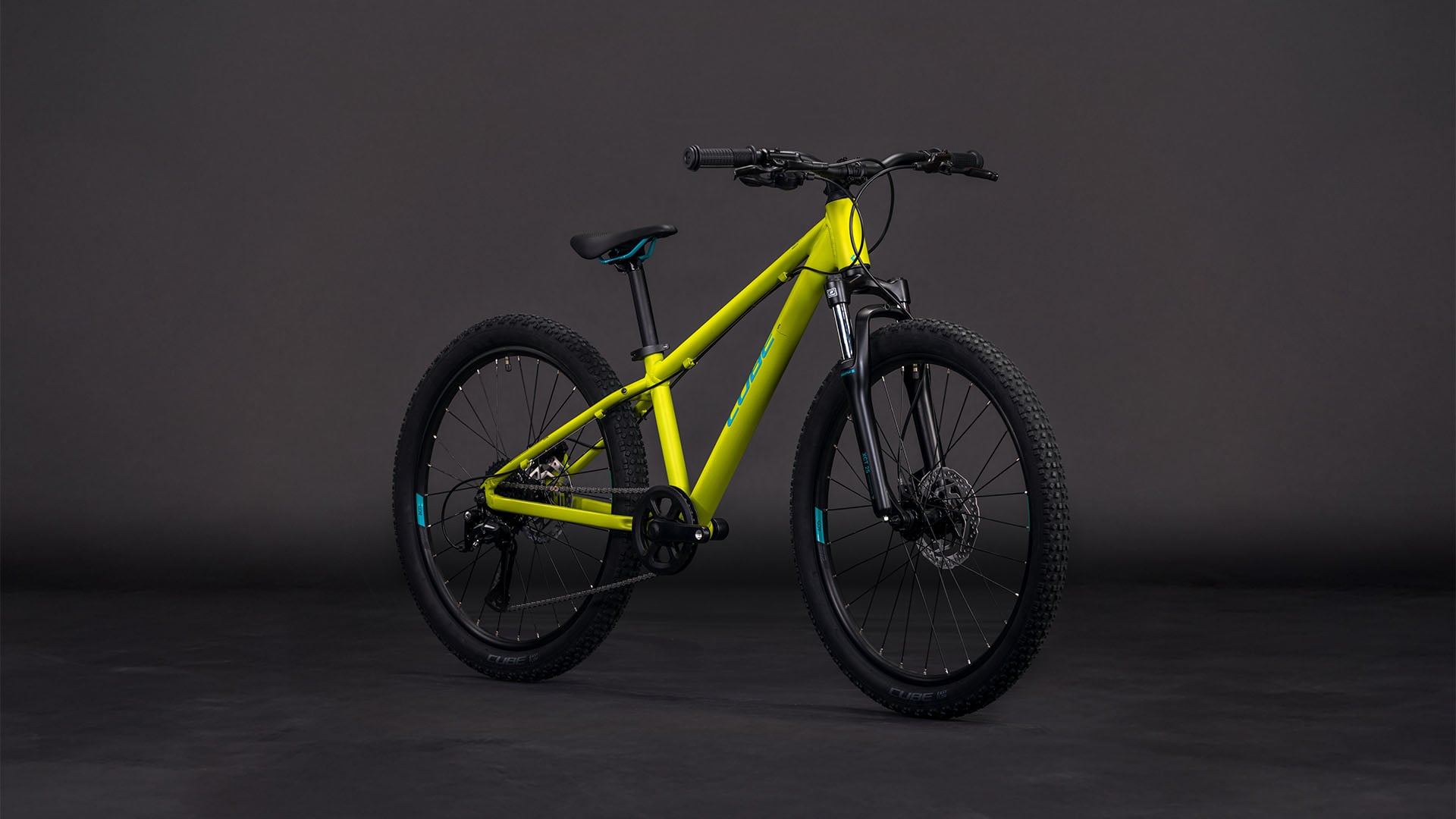 Cube Acid 240 Disc lizard'n'blue