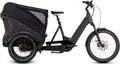 Cube Trike Cargo Hybrid 1500 grey'n'reflex