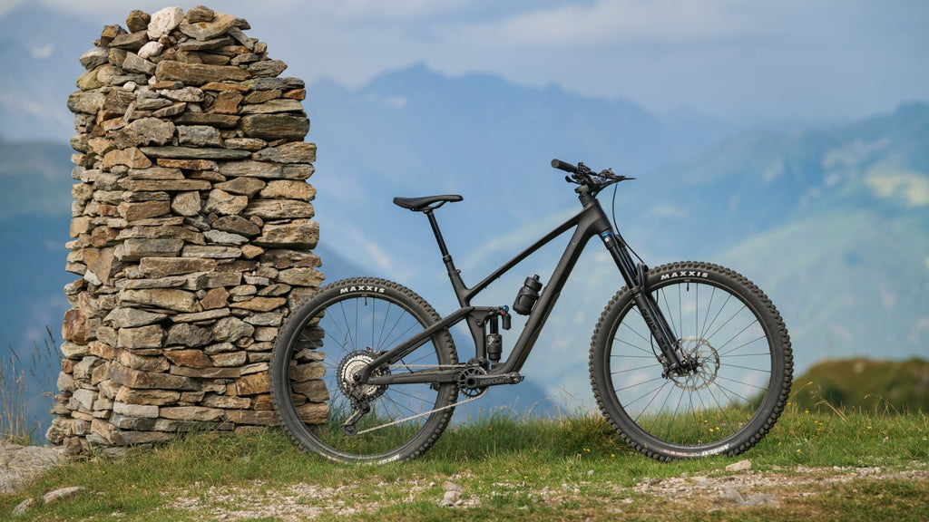 Cube Stereo ONE55 C:62 SLX 29 blackline